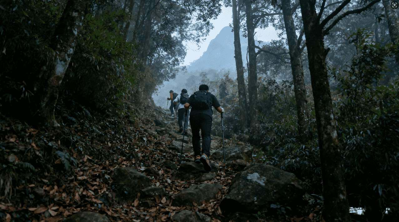 快喵加速器PC版性能优化技巧全解：提升游戏体验的必备方法